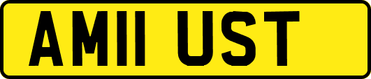 AM11UST