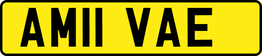 AM11VAE