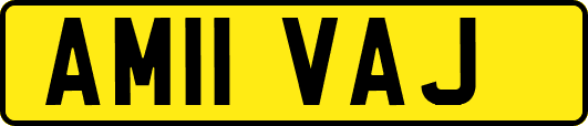 AM11VAJ