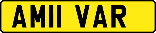 AM11VAR
