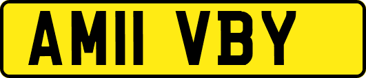 AM11VBY