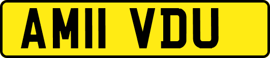 AM11VDU