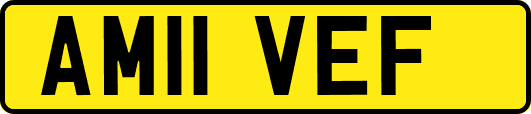 AM11VEF