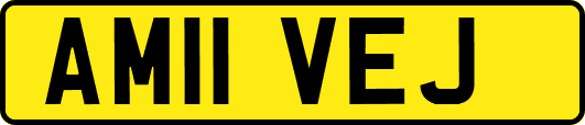 AM11VEJ