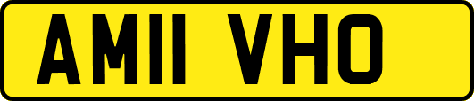 AM11VHO