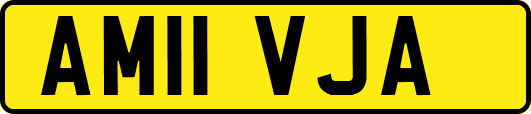 AM11VJA