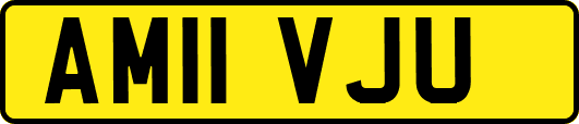 AM11VJU