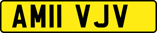 AM11VJV
