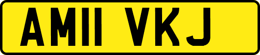 AM11VKJ