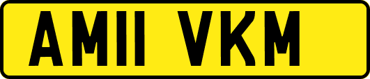 AM11VKM