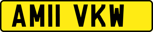 AM11VKW