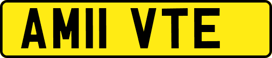 AM11VTE