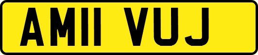 AM11VUJ