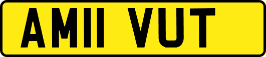 AM11VUT