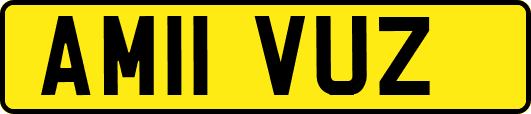 AM11VUZ