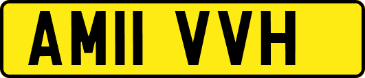 AM11VVH