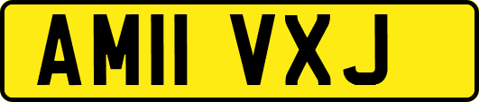 AM11VXJ