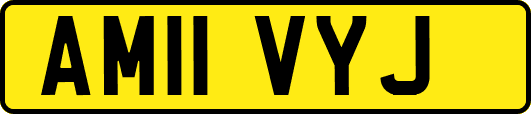 AM11VYJ