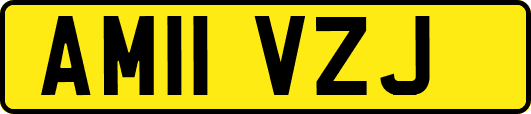 AM11VZJ