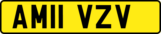 AM11VZV