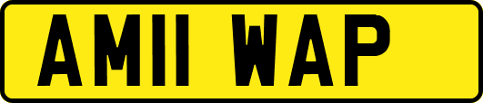 AM11WAP