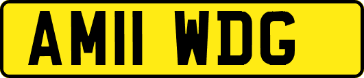 AM11WDG