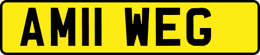 AM11WEG