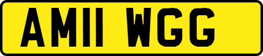 AM11WGG
