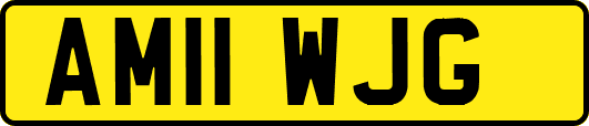AM11WJG