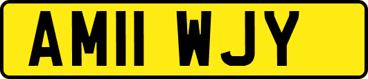 AM11WJY