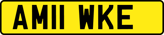 AM11WKE