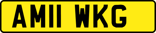 AM11WKG