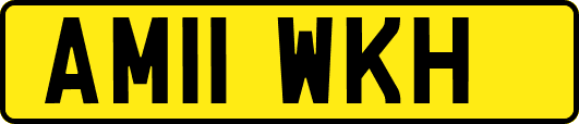 AM11WKH