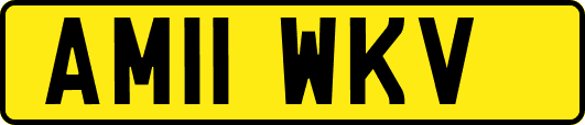 AM11WKV
