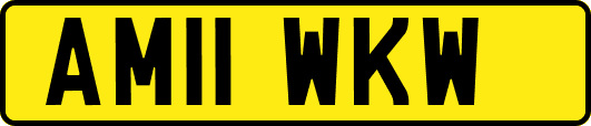 AM11WKW