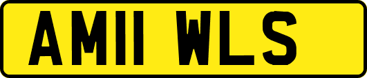 AM11WLS