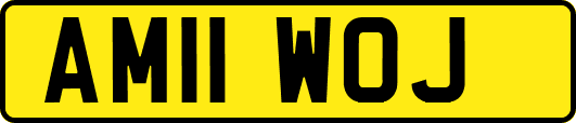 AM11WOJ