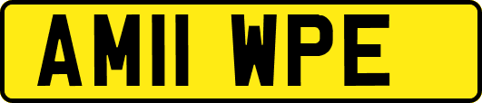 AM11WPE