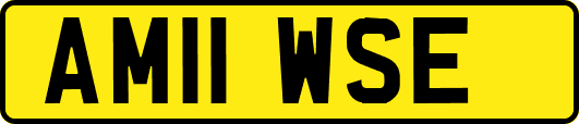 AM11WSE