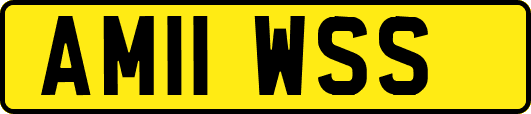 AM11WSS