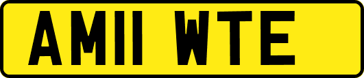 AM11WTE