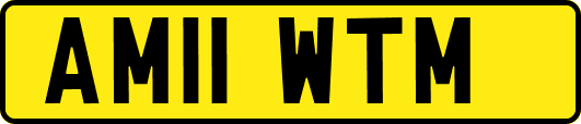 AM11WTM