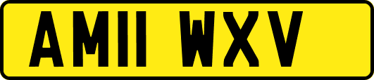AM11WXV