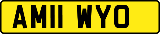 AM11WYO