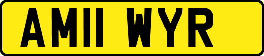 AM11WYR