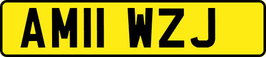 AM11WZJ
