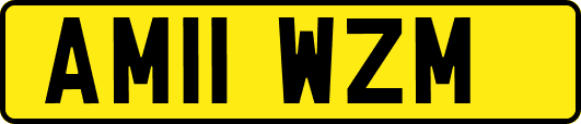 AM11WZM