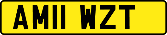 AM11WZT