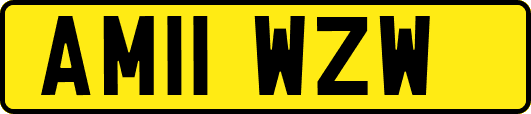 AM11WZW