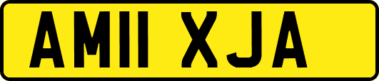 AM11XJA